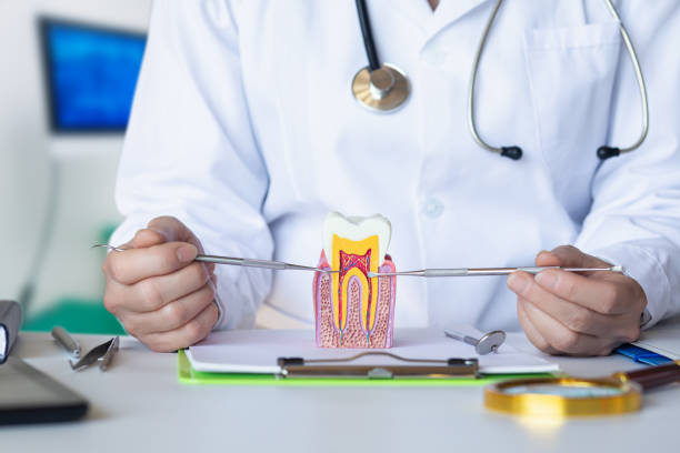 Best Emergency Dental Care for Trauma or Injury in Milan, IN